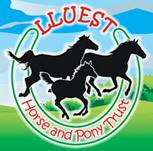 Lluest Horse & Pony Trust